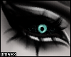 Death's Stare