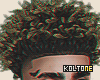' Big Curly 2/4