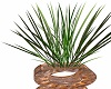 Bronze Potted Grass