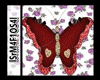 [HE] Borboleta Braço M1
