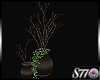 [S77]Classic Vase