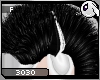 ~Dc) 3030 Hair F