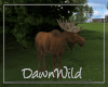 Animated Moose
