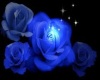 Animated blue rose couch