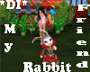 *DI*My friend the Rabbit