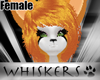 Whiskers~ Fidget Fur
