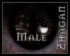 [Z] Demonic Eyes