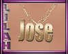 *L* Jose Gold Necklace