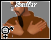 Tck_Hand Scaler 66.77.88