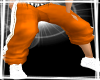 Sportive Orange Pants
