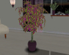 RN Tree Plant