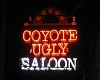 Ugly Coyote