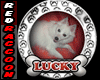 Lucky Dog Token