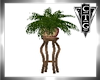 CTG FERN AND STAND