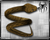 Snakes Set