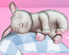 Bunny Sleep ♡