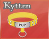 -K-  Pup Yellow Collar