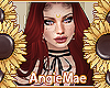 AM* Hannah Red