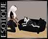 |E! Pitty Bed with poses