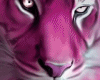 pink tiger room