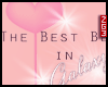 2G3. Best Bebe