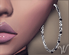 Bria Hoop Earrings