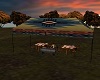 Southwestern BBQ w/Tent