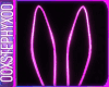 |S| Neon Bunny Ears