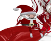 DW CHRISTMAS SANTA PET