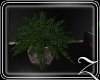 ~Z~Earn Small Planter