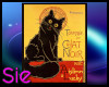 Chat Noir Ais and Lucky