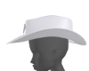 -DS- cowgirl hat