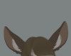 Deer Ears/SP