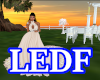 LEDF Aureate Wed Gown