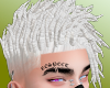 Cst. Arcano Hair