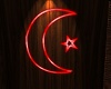 Turkey Neon Flag