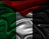 Palestine Flag Cutout