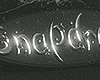SD leather metal 001