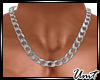 ⓤ.silver necklace
