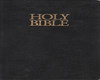 Holy Bible (MALE)