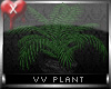 VV Plant