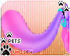 [Pets] Phir | tail v2
