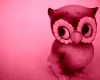 pink owl room