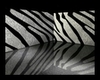 Zebra room