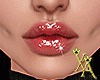 X♡A Perfect Lips