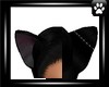 *SA* Cat ears black