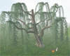 Irisvir Tree