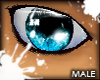 (AA)M-Glacier-eyes