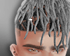  Grey Hair Ⓟ