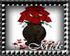 (M) Rose Plant